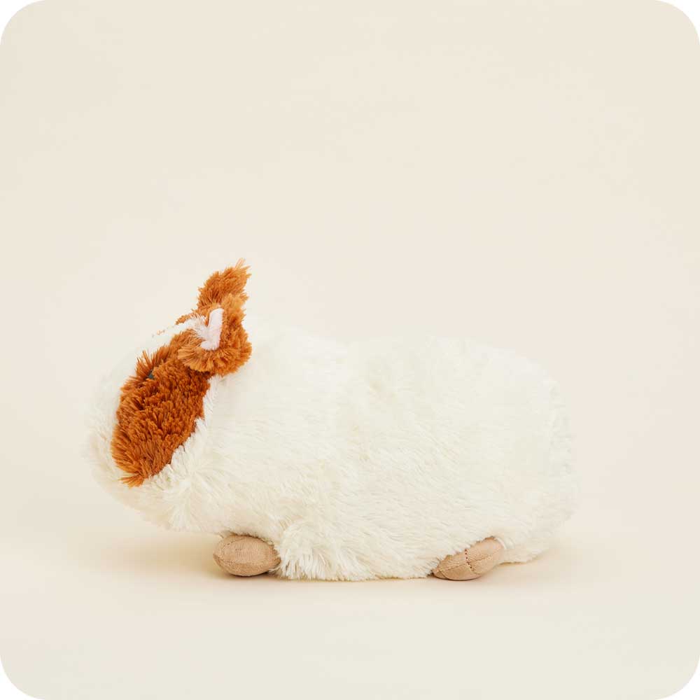 Guinea Pig Warmies - Image 5