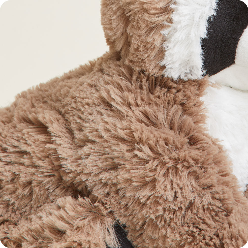 Raccoon Warmies - Image 10