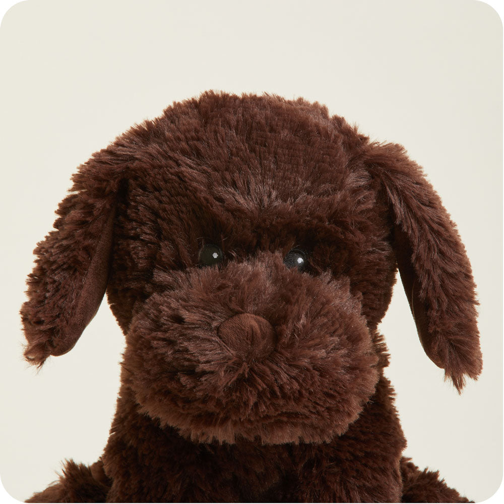 Chocolate Labrador Warmies - Image 4