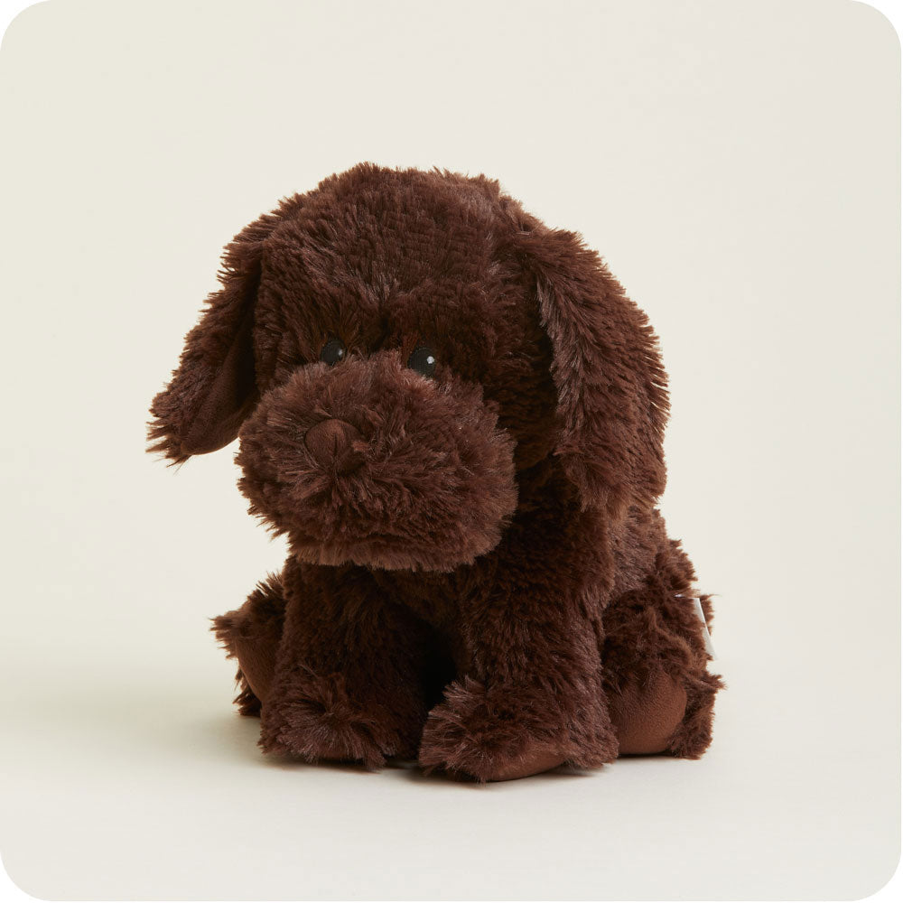 Chocolate Labrador Warmies - Image 5