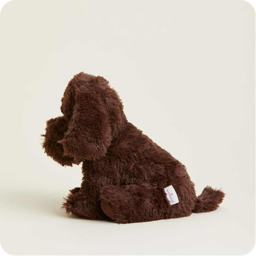 Chocolate Labrador Warmies - Image 6