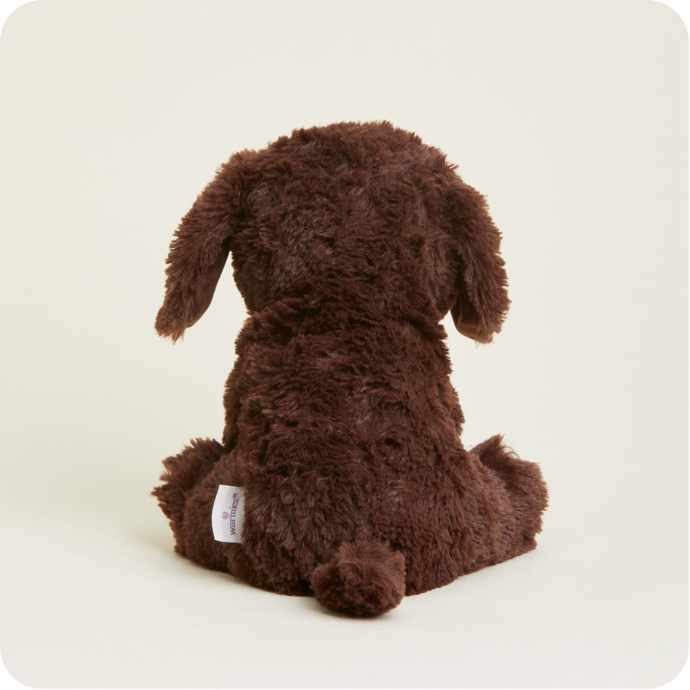 Chocolate Labrador Warmies - Image 7
