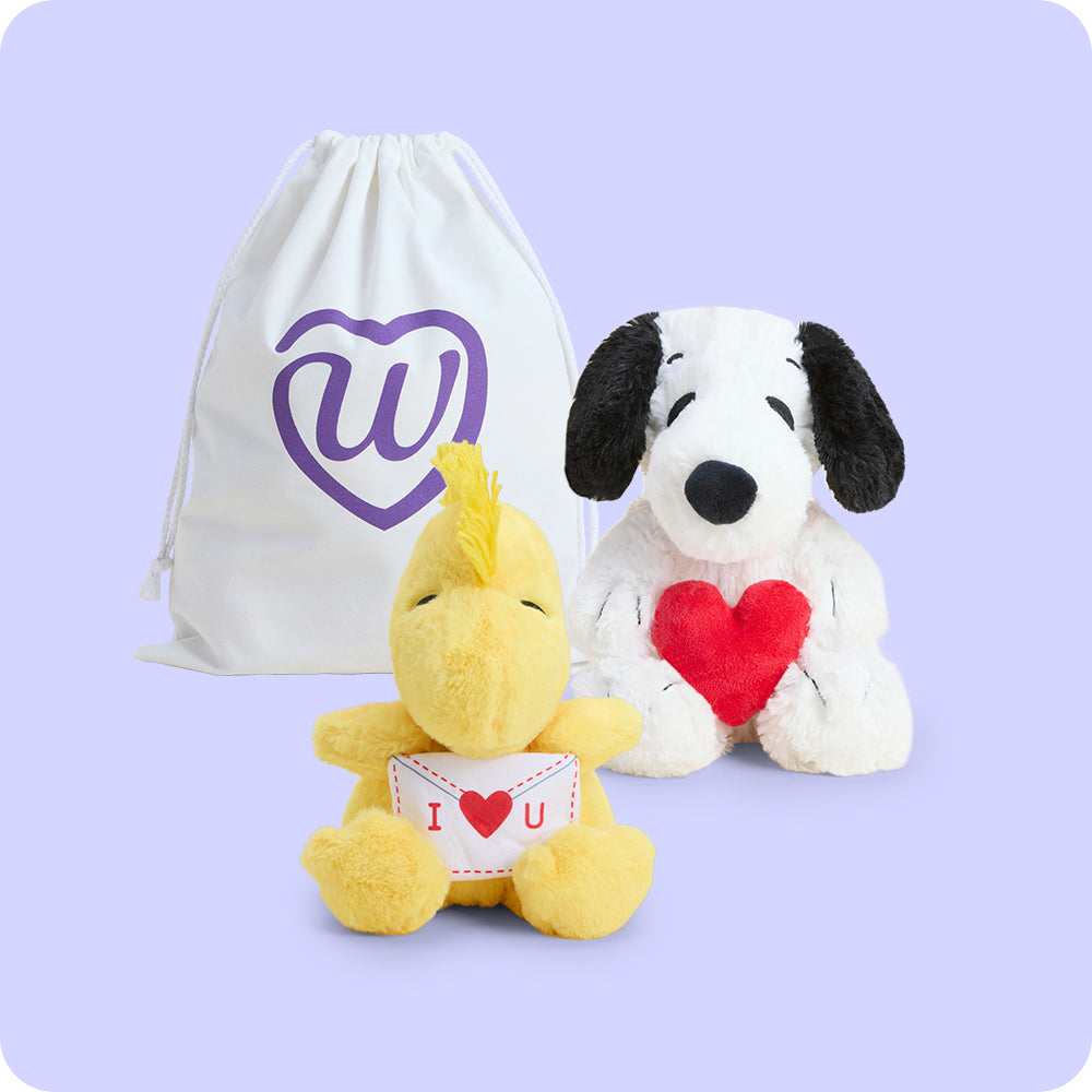 Snoopy's Sweetheart Duo