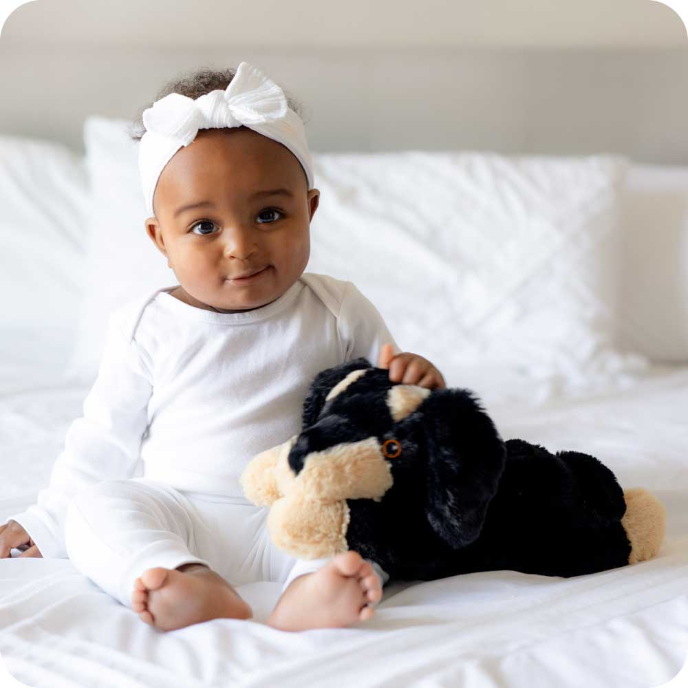 Dachshund Warmies - Image 2