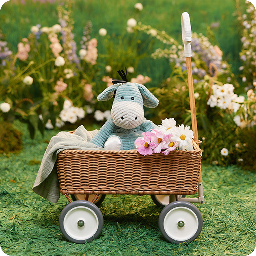 Donkey - My First Warmies - Image 3