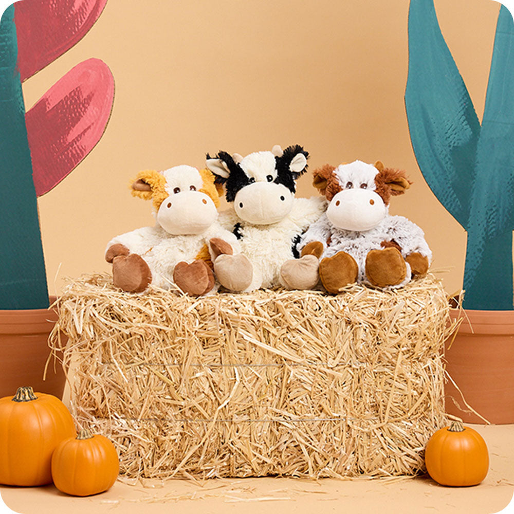 Pumpkin Spice Latte Cow Warmies - Image 4